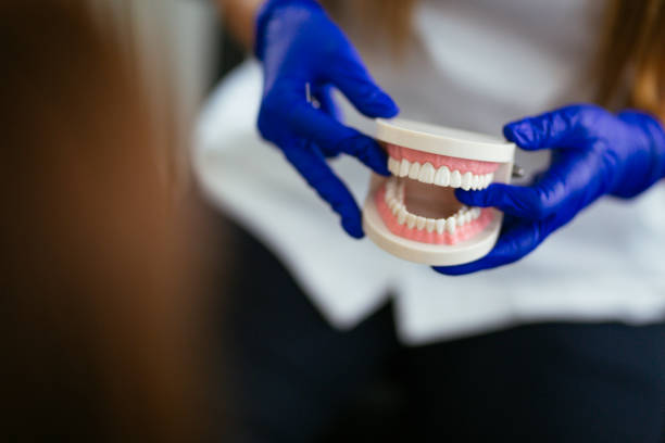 Why Choose Us for Your Dental Needs in Algonquin, MD